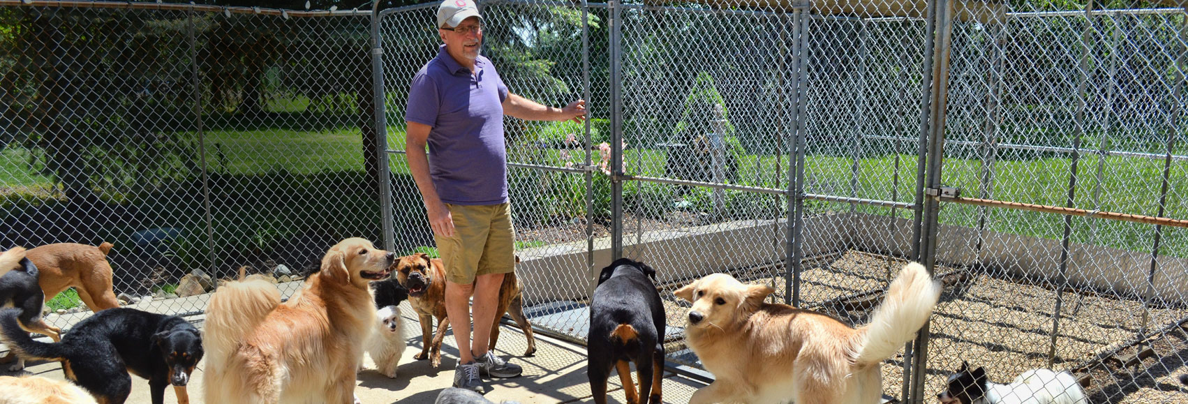 The Well Heeled Way® Hartville Dog Training & Boarding